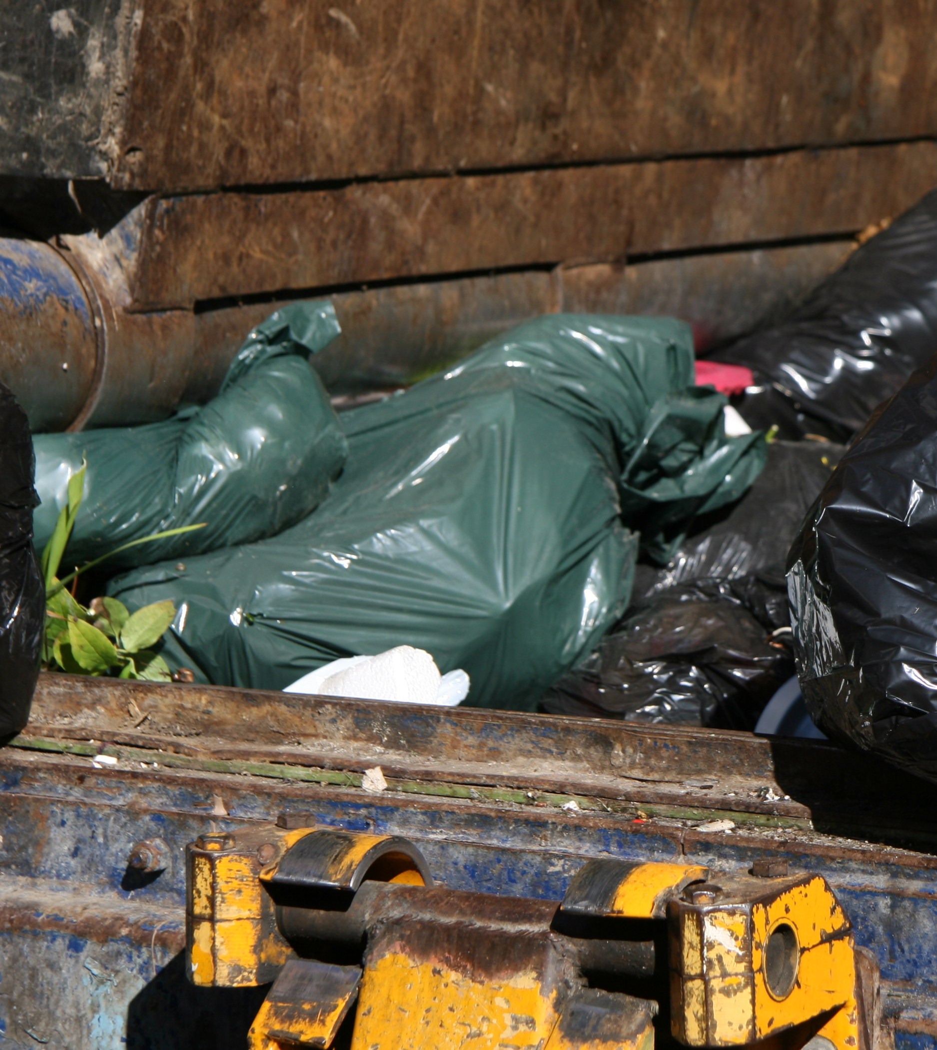 Are Trash Compactors Worth the Cost? Learn About Their Pros and