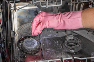 Dealing with a Dishwasher Clog? Learn 5 Ways You May Be Able to Repair it On Your Own
